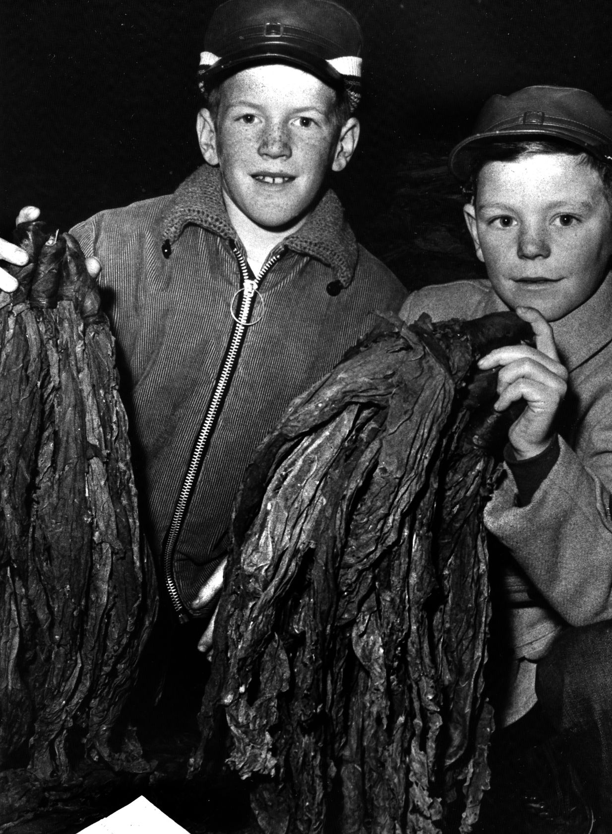 1967-12-04 2 tobacco.jpg